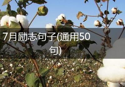 7月励志句子(通用50句)