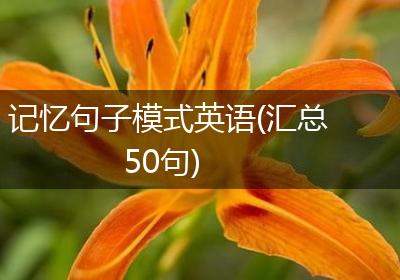 记忆句子模式英语(汇总50句)