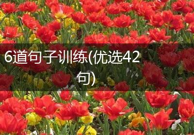 6道句子训练(优选42句)