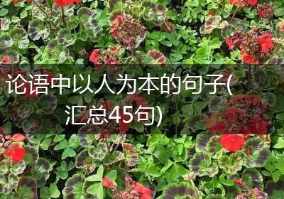 论语中以人为本的句子(汇总45句)