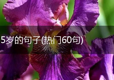 5岁的句子(热门60句)