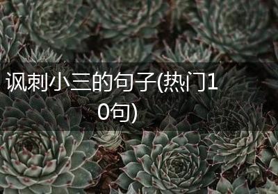 讽刺小三的句子(热门10句)