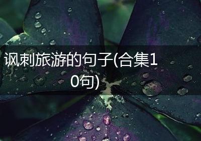 讽刺旅游的句子(合集10句)
