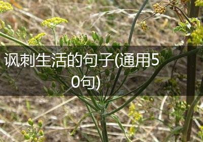 讽刺生活的句子(通用50句)