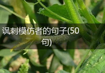 讽刺模仿者的句子(50句)