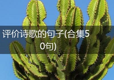 评价诗歌的句子(合集50句)