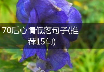 70后心情低落句子(推荐15句)