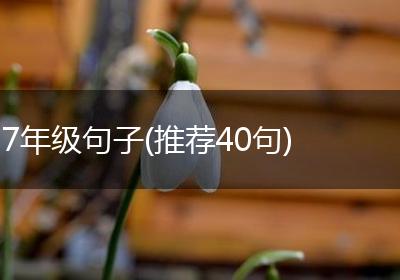 7年级句子(推荐40句)