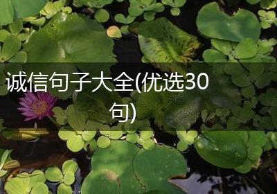 诚信句子大全(优选30句)