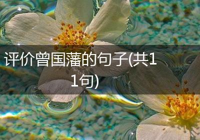 评价曾国藩的句子(共11句)