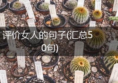 评价女人的句子(汇总50句)