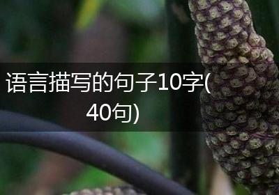 语言描写的句子10字(40句)