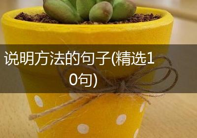 说明方法的句子(精选10句)
