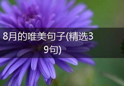 8月的唯美句子(精选39句)
