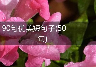 90句优美短句子(50句)