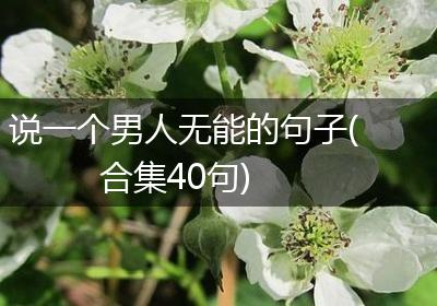 说一个男人无能的句子(合集40句)
