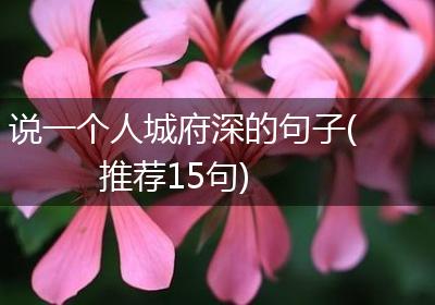 说一个人城府深的句子(推荐15句)