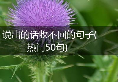 说出的话收不回的句子(热门50句)