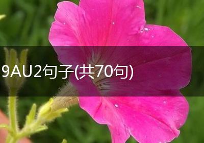 9AU2句子(共70句)