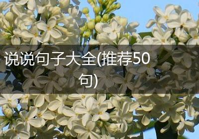 说说句子大全(推荐50句)