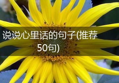 说说心里话的句子(推荐50句)