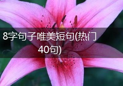 8字句子唯美短句(热门40句)
