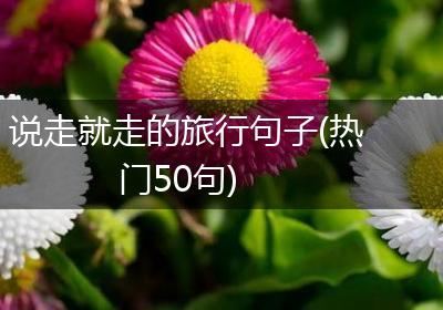 说走就走的旅行句子(热门50句)