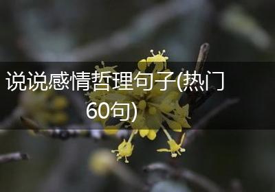 说说感情哲理句子(热门60句)