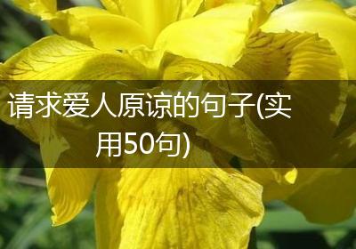 请求爱人原谅的句子(实用50句)