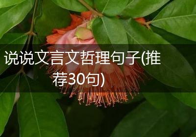 说说文言文哲理句子(推荐30句)