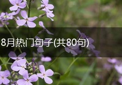 8月热门句子(共80句)