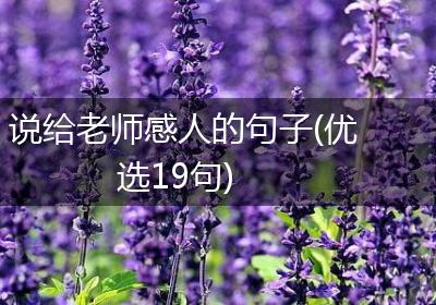 说给老师感人的句子(优选19句)