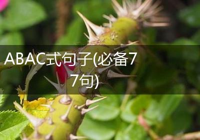 ABAC式句子(必备77句)