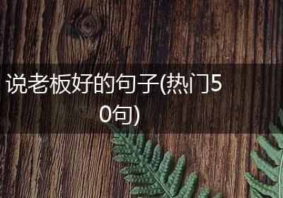 说老板好的句子(热门50句)