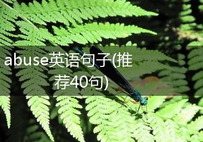 abuse英语句子(推荐40句)