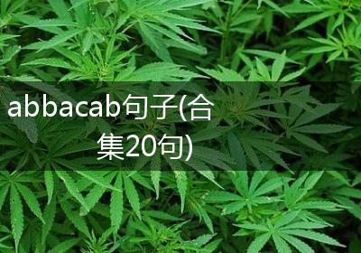 abbacab句子(合集20句)