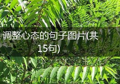调整心态的句子图片(共15句)