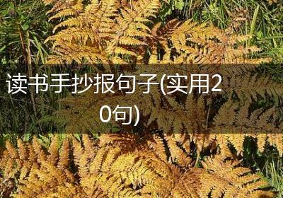 读书手抄报句子(实用20句)