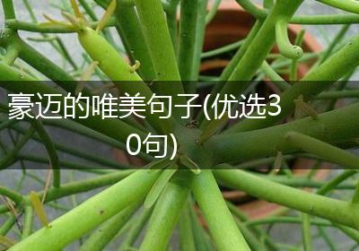 豪迈的唯美句子(优选30句)