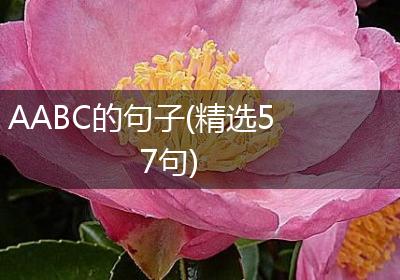 AABC的句子(精选57句)