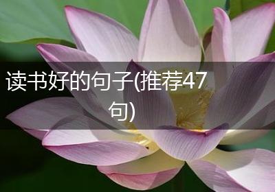 读书好的句子(推荐47句)