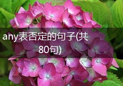 any表否定的句子(共80句)