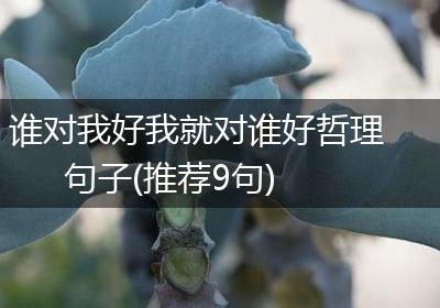谁对我好我就对谁好哲理句子(推荐9句)