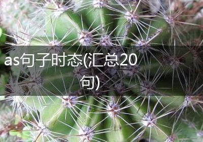 as句子时态(汇总20句)
