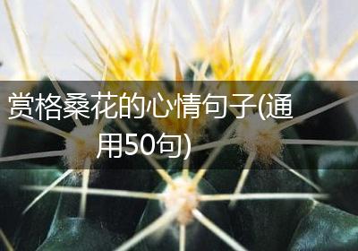 赏格桑花的心情句子(通用50句)