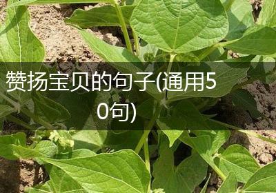 赞扬宝贝的句子(通用50句)