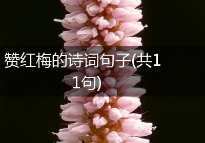 赞红梅的诗词句子(共11句)