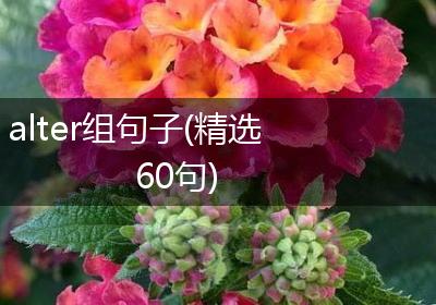alter组句子(精选60句)