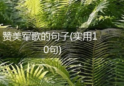 赞美军歌的句子(实用10句)