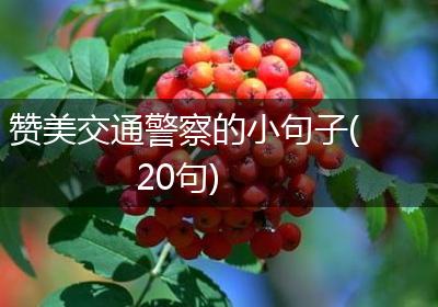 赞美交通警察的小句子(20句)